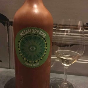 Costador Terroirs Mediterranis - Joan Franquet - Metamorphika Macabeu Brisat