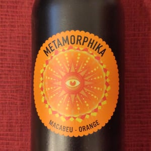 Metamorphika Macabeu Brisat - Costador Terroirs Mediterranis - Joan Franquet 