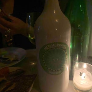 Costador Terroirs Mediterranis - Joan Franquet - Metamorphika Macabeu Brisat