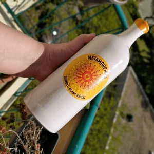 Costador Terroirs Mediterranis - Joan Franquet - Metamorphika Macabeu Brisat