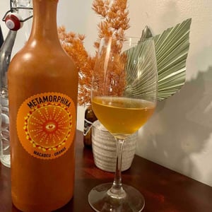 Costador Terroirs Mediterranis - Joan Franquet - Metamorphika Macabeu Brisat