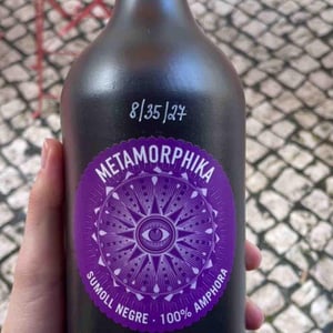 Metamorphika Sumoll 100% Amphorae - Costador Terroirs Mediterranis - Joan Franquet 