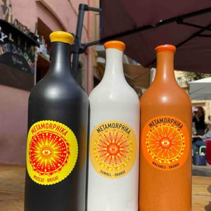 Metamorphika Sumoll 100% Amphorae - Costador Terroirs Mediterranis - joan-franquet