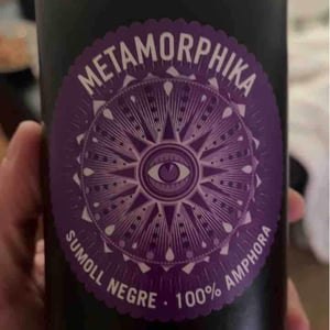 Metamorphika Sumoll 100% Amphorae - Costador Terroirs Mediterranis - joan-franquet