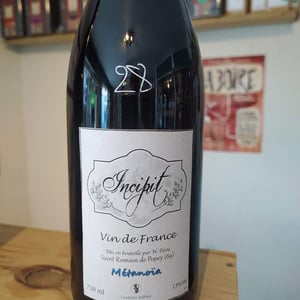 Métanoïa - Incipit - Nicolas Pavie - Nicolas Pavie -2020
