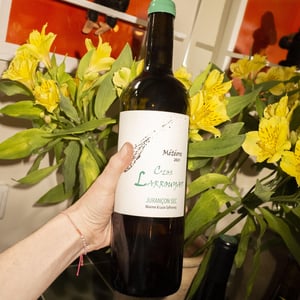 Météore - Clos Larrouyat - maxime-lucie-salharang