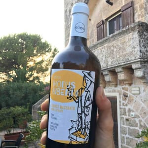 Modus Bibendi Macerato - Elios - Nicola Adamo & Guido Grillo 