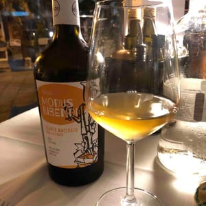 Modus Bibendi Macerato - Elios - nicola-adamo-guido-grillo