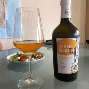 White Macerated 2018