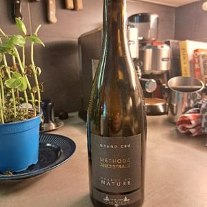 Méthode Ancestrale - Domaine de la Ville de Morges - Julien Pasche 