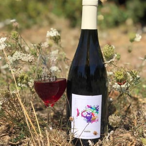 Domaine Labet - Julien, Charline & Romain Labet - Les Parcelles Rares - Métis