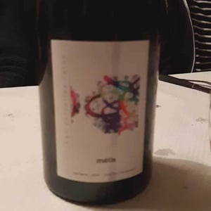 Domaine Labet - Julien, Charline & Romain Labet - Les Parcelles Rares - Métis