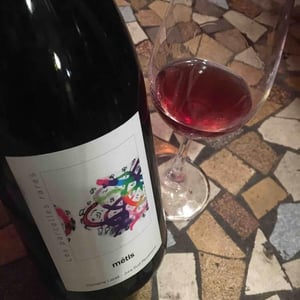 Domaine Labet - Julien, Charline & Romain Labet - Les Parcelles Rares - Métis