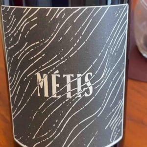 Metis - l’Abri - Franck Pasquier -20