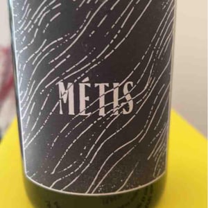 Metis - l’Abri - Franck Pasquier -20