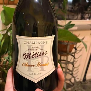 Métisse Noirs & Blancs - Champagne Olivier Horiot - olivier-horiot