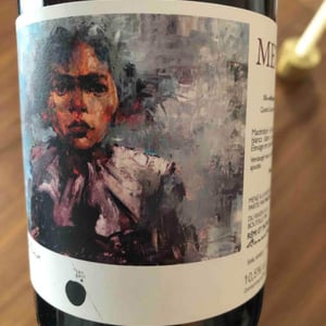 Domaine de l'Alezan - Remi & Patricia Bonneton - Metisse