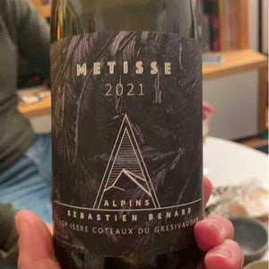 Métisse