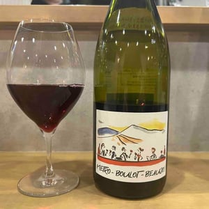 Domaine Des Canailles - Simon Perot - Métro Boulot Beaujo