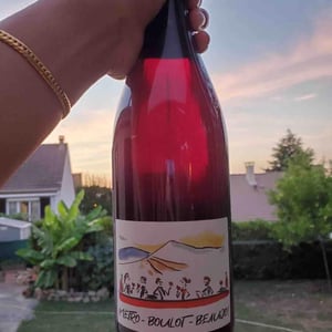 Domaine Des Canailles - Simon Perot - Métro Boulot Beaujo