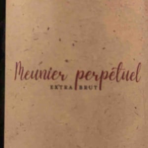 Perpetuel Extra Brut - Champagne Delouvin Nowack - famille-delouvin