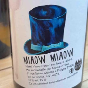 Miaow Miaow - Couleur Fleur - caroline-banville-stephane-guyon