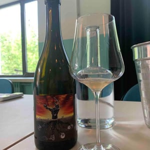Microbio White - MicroBioWines - Ismael Gozalo 