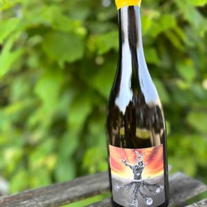 Microbio White - MicroBioWines - ismael-gozalo