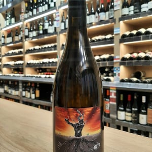 Microbio White - MicroBioWines - ismael-gozalo