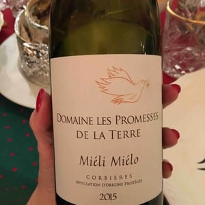 Miéli Miélo - Les Promesses de la Terre - bruno-weiller-closed