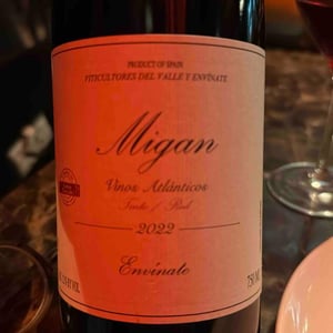 Migan - Envínate - Roberto Santana, Alfonso Torrente, Laura Ramos & José Martínez 