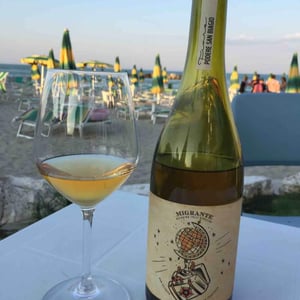 Migrante - Podere San Biagio - Jacopo Fiore 