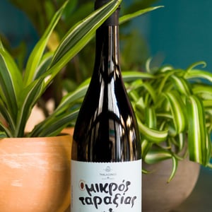 Mikros Taraxias - Thalassinos Microwinery - isidoros-thalassinos
