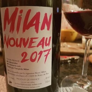 Milan Nouveau 2017