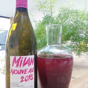 Milan Nouveau - Domaine Milan - emma-theophile-henri-milan
