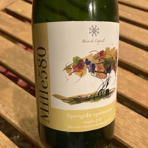 Mille580 - Bosco dei Caprioli - andrea-iori -2021
