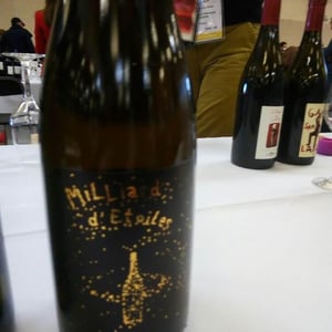 Domaine de la Garreliére - Pascale & François Plouzeau - Milliard d'Étoiles
