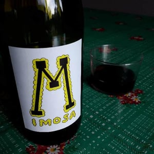 Mimosa - Mas Coutelou - jean-francois-coutelou