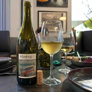 Mineral + - Un Saumon Dans la Loire - Marie Thibault & Frantz Saumon 