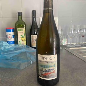 Mineral + - Un Saumon Dans la Loire - Marie Thibault & Frantz Saumon 