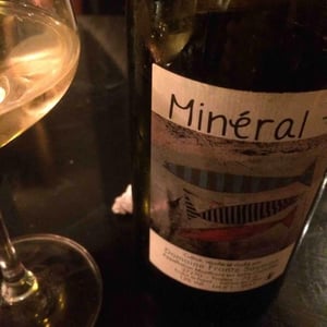 Mineral + - Un Saumon Dans la Loire - Marie Thibault & Frantz Saumon 