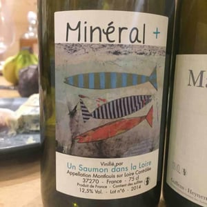 Mineral + - Un Saumon Dans la Loire - marie-thibault-frantz-saumon