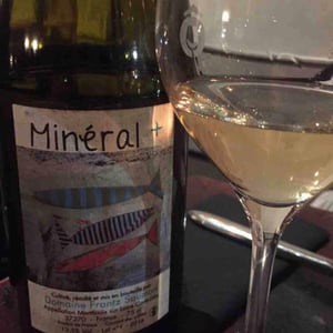 Mineral + - Un Saumon Dans la Loire - Marie Thibault & Frantz Saumon 