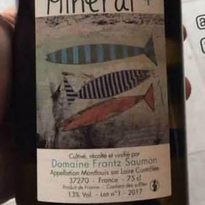 Un Saumon Dans la Loire - Marie Thibault & Frantz Saumon - Mineral +
