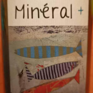 Un Saumon Dans la Loire - Marie Thibault & Frantz Saumon - Mineral +