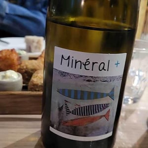 Un Saumon Dans la Loire - Marie Thibault & Frantz Saumon - Mineral +
