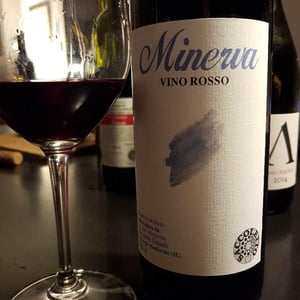 MINERVA - Saccoletto Vini - Daniele Saccoletto 