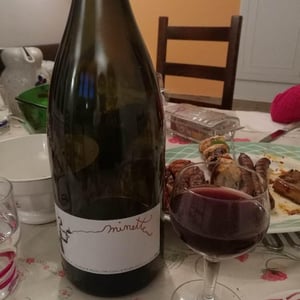 Minette - Francine & François Dhumes - francine-francois-dhumes