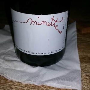 Minette - Francine & François Dhumes - Francine & François Dhumes 
