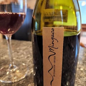 Mingaco Cinsault - Vinos Mingaco - Chekura - Pablo Pedreros & Daniela De Pablo Mendoza 